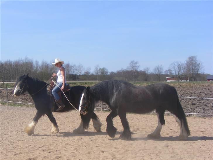 Min western pakhest :D billede 13