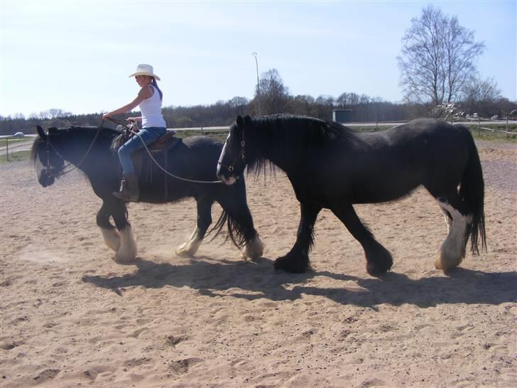 Min western pakhest :D billede 14