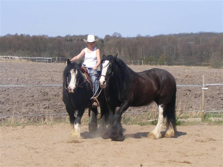 Min western pakhest :D billede 15