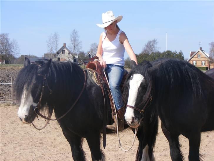 Min western pakhest :D billede 16