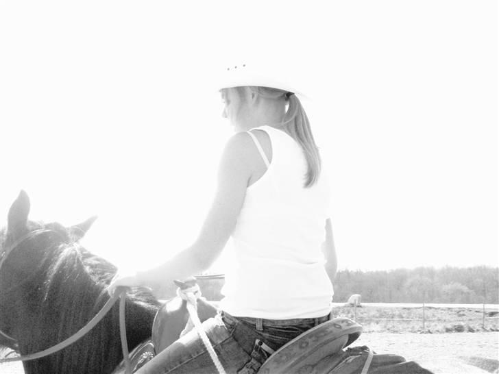 Min western pakhest :D billede 18