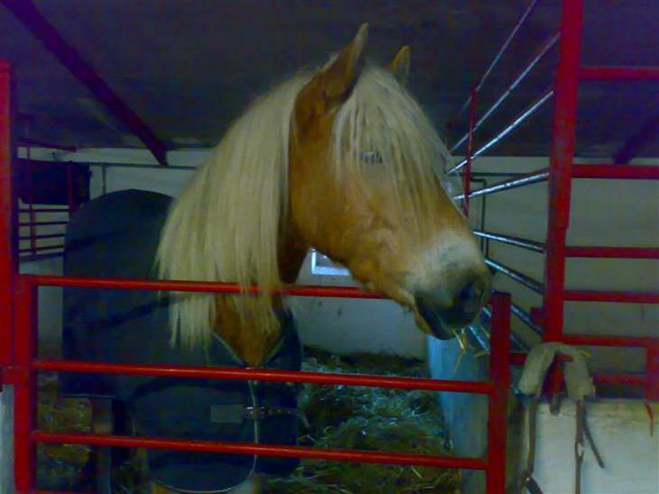 {{currentPhoto.altText}} billede {{currentPhoto.number}}