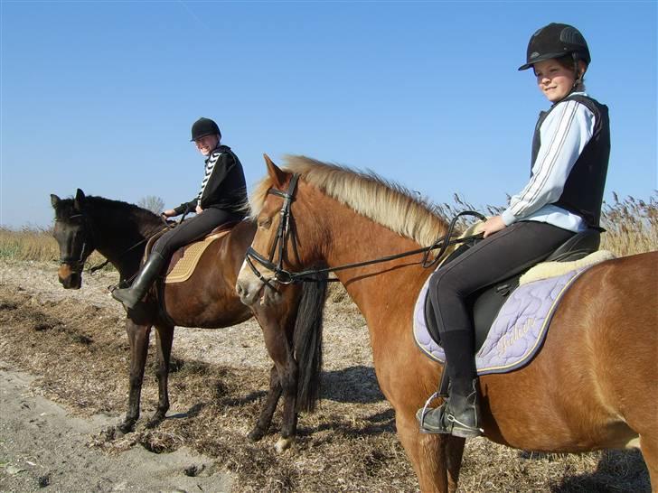 Nye billeder på strand :) <3 - Så vi på vejen igen :P billede 3