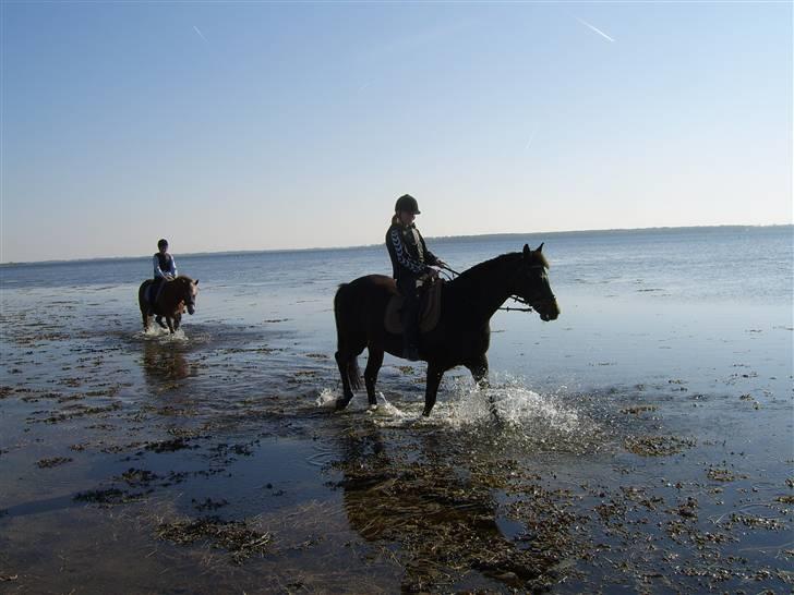Nye billeder på strand :) <3 - På strand
 billede 5