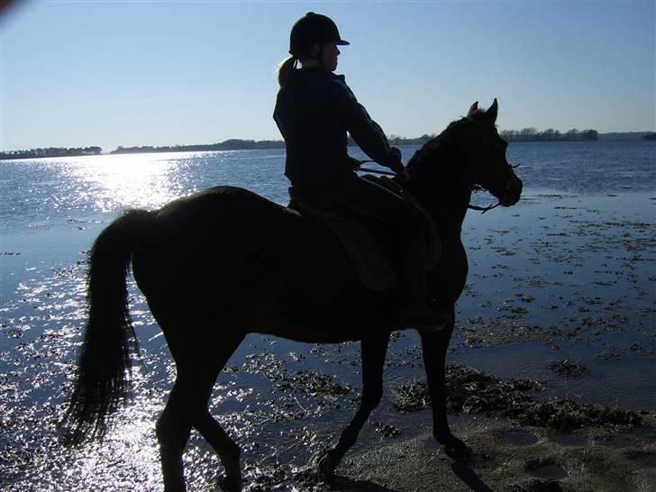 Nye billeder på strand :) <3 billede 7