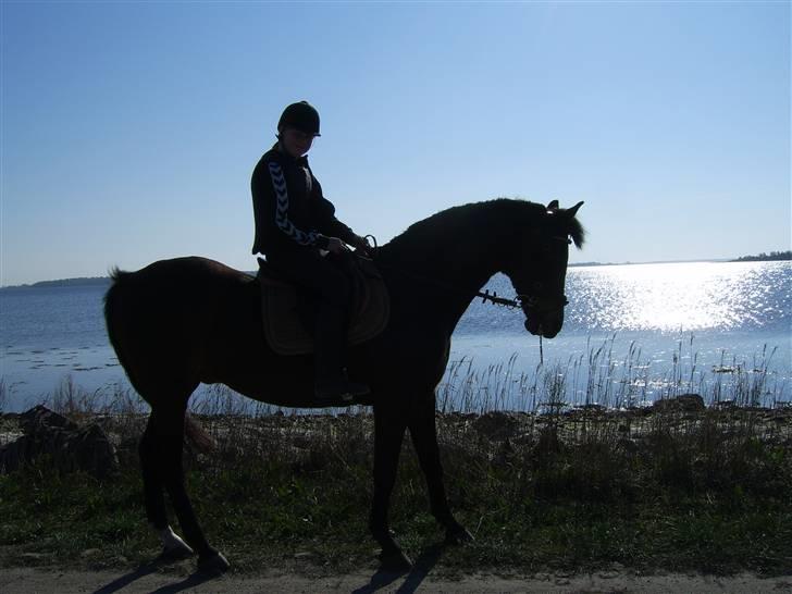 Nye billeder på strand :) <3 billede 8