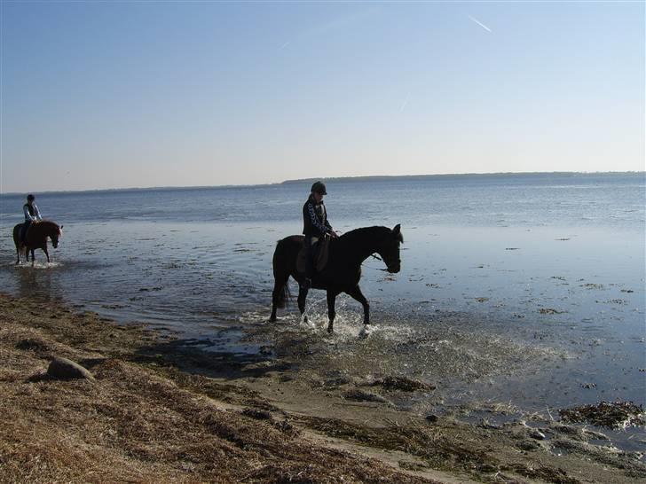 Nye billeder på strand :) <3 billede 9