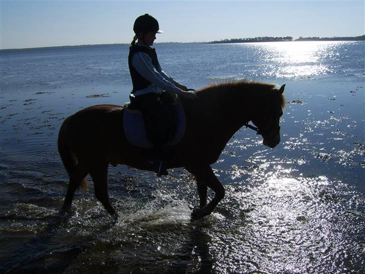 Nye billeder på strand :) <3 billede 10
