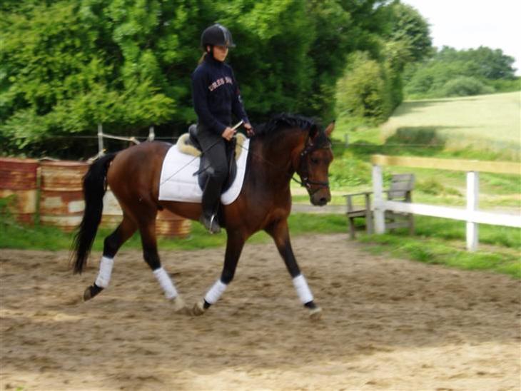 {{currentPhoto.altText}} billede {{currentPhoto.number}}