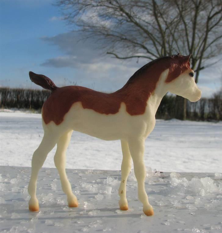 Breyer modelheste - Nu med nye billeder! - Duke - Paint pony føl billede 3
