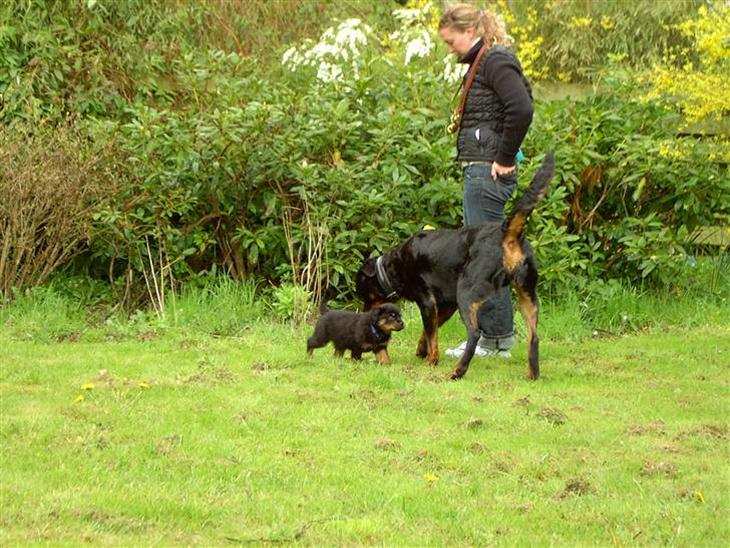 {{currentPhoto.altText}} billede {{currentPhoto.number}}