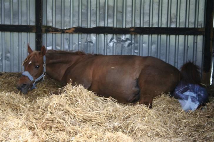 Fødsel 22 over termin. billede 3