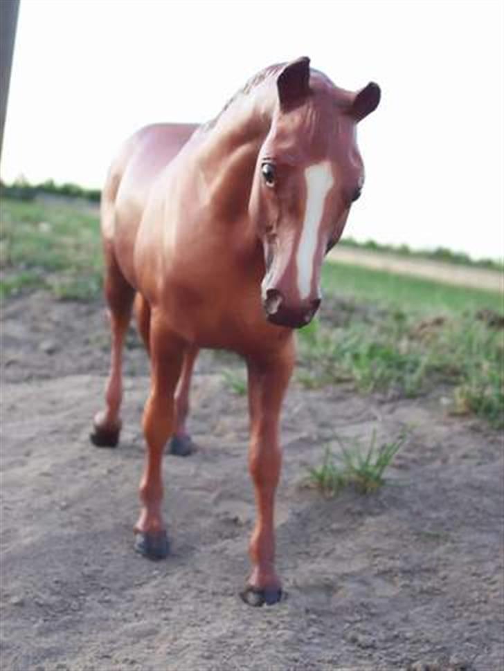 Breyer modelheste - Nu med nye billeder! - Little Andy Wind (Bo Didley) - Dressur Quarterhorse. billede 9
