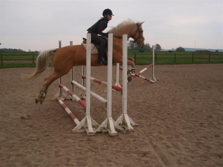 Billeder. - Frederikke og Justy over en tripplebarre. billede 3