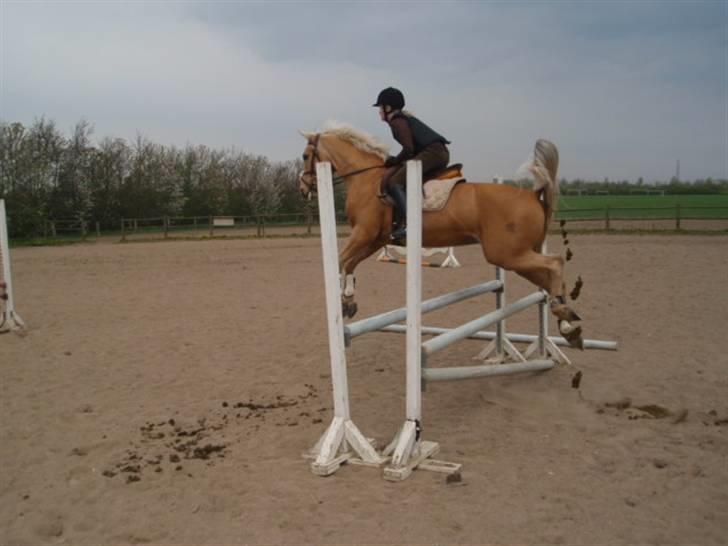 Billeder. - Frederikke og Justy, over en oxer. billede 4