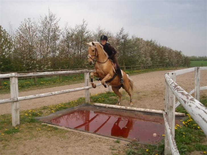 Billeder. - Frederikke og Justy springer vandgrav. billede 5