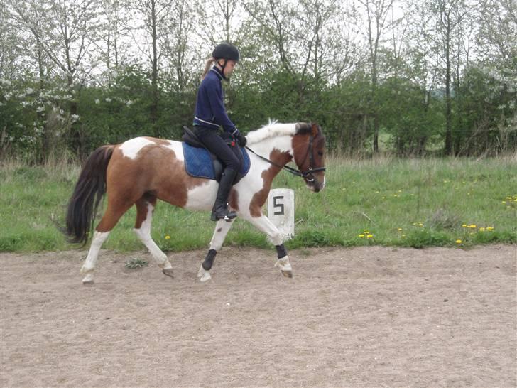 Billeder. - Min lillesøster Sarah og hendes søde halvpart, Colour Mix (: billede 7