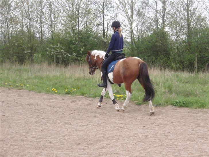 Billeder. - Sarah og Colour. billede 8