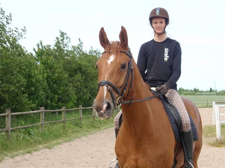 Billeder. - Malene og hendes fine DV vallak Licondo (: billede 10