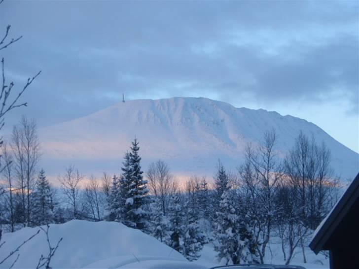 Billeder. - Gaustatoppen, Rjukan, Norge :D billede 12