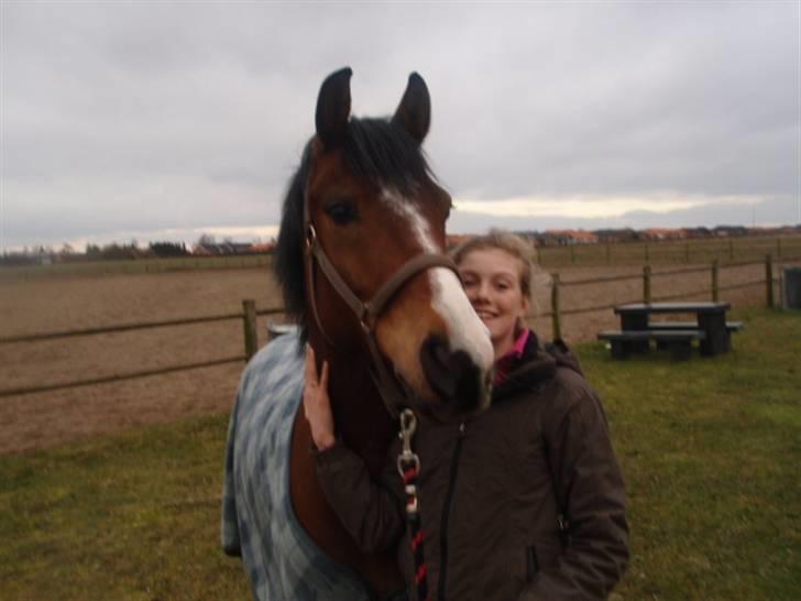 Billeder. - Benedikte og hendes dejlige dressurpony Nino (Oskar) billede 14