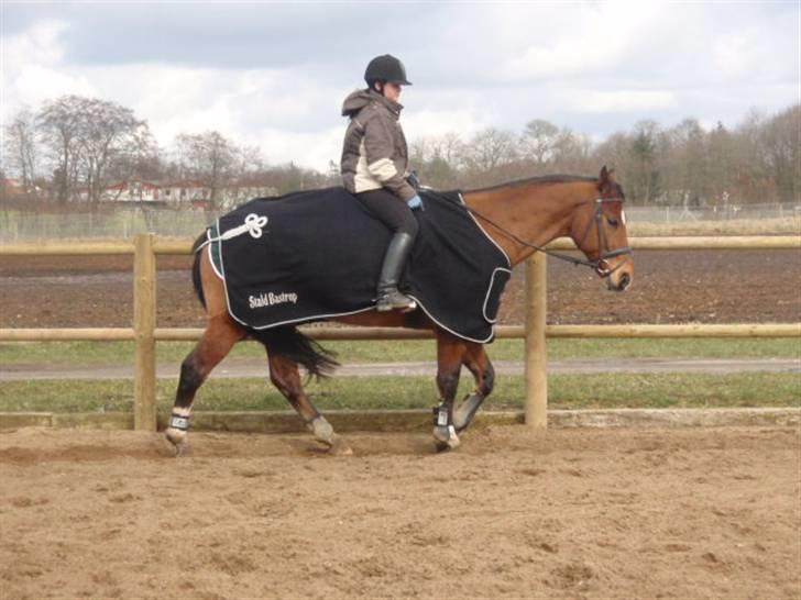 Billeder. - Maria og hendes DV vallak Rosini (Trucker) billede 16