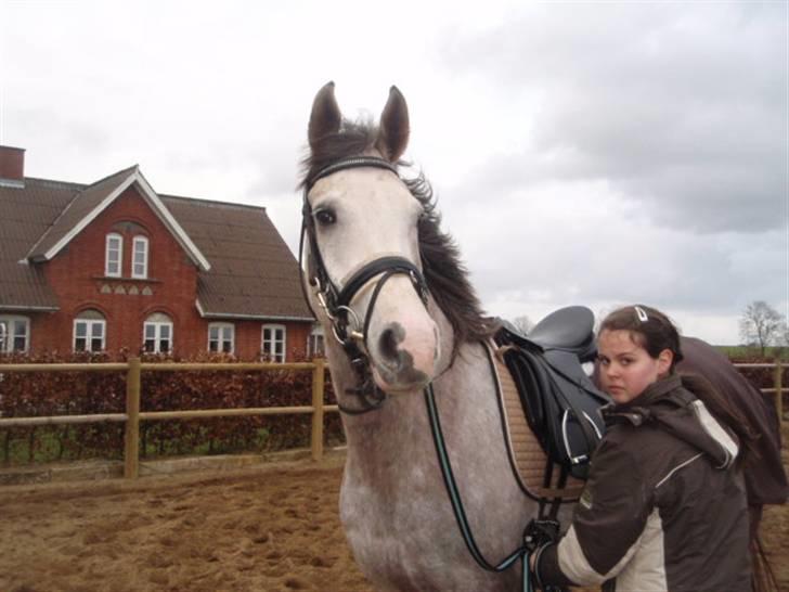 Billeder. - Maria og Happy Dane. billede 17