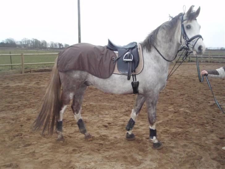 Billeder. - Smukke Happy. billede 18