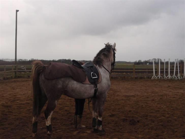 Billeder. - Happy. billede 20