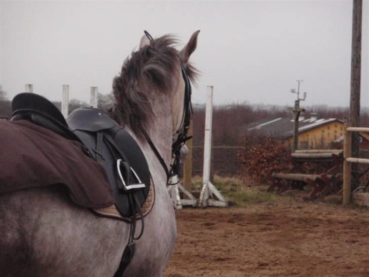 Billeder. - Happy. billede 21