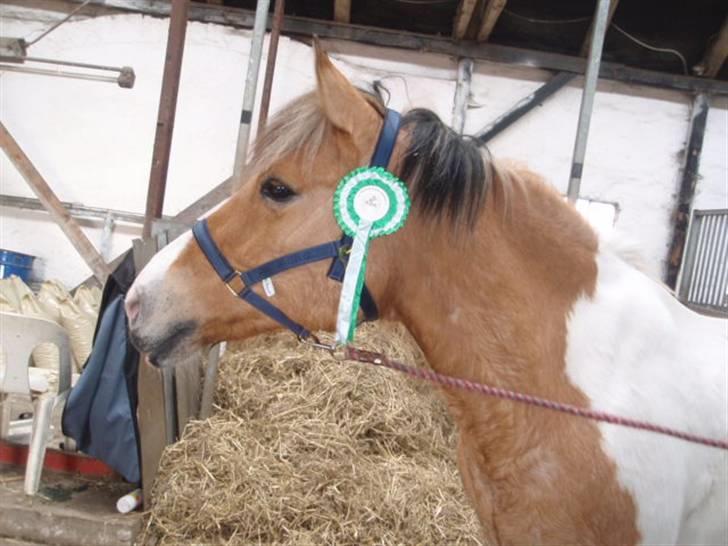 Billeder. - Marius. billede 26