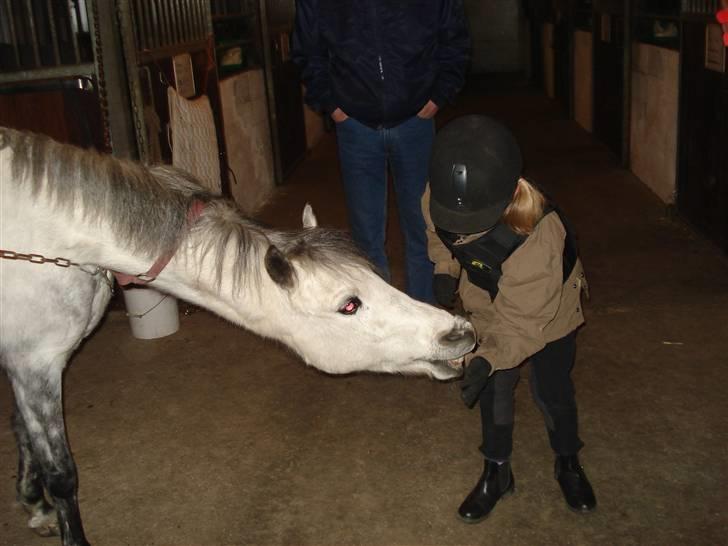Mie med givea og snehvide - Efter endt ridetur. billede 9