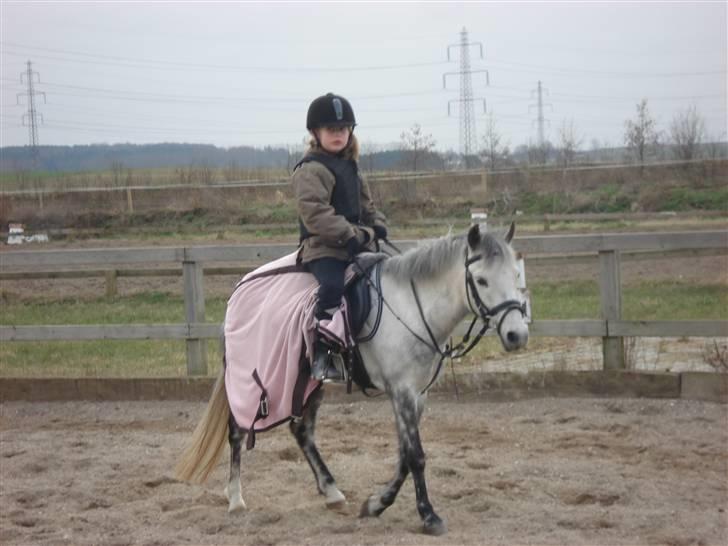 Mie med givea og snehvide billede 12