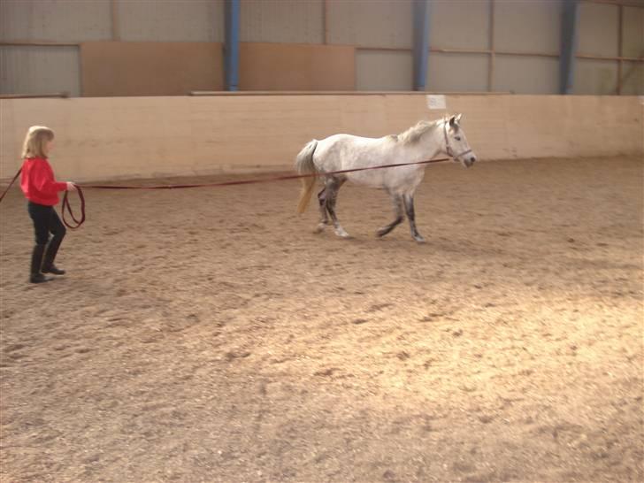 Mie med givea og snehvide - Ja så skal der lige prøves og longere billede 13