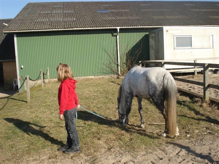 Mie med givea og snehvide - Hygger lige lidt med at græsse billede 14
