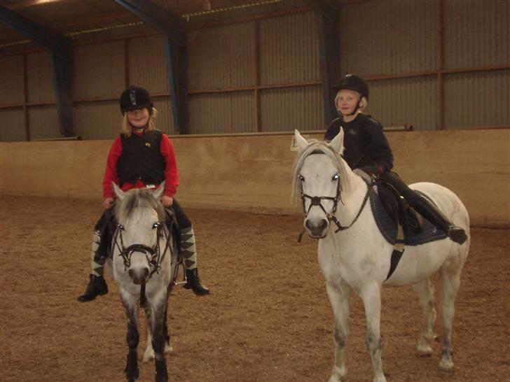 Mie med givea og snehvide - Mie og ditte der rider sammen billede 16