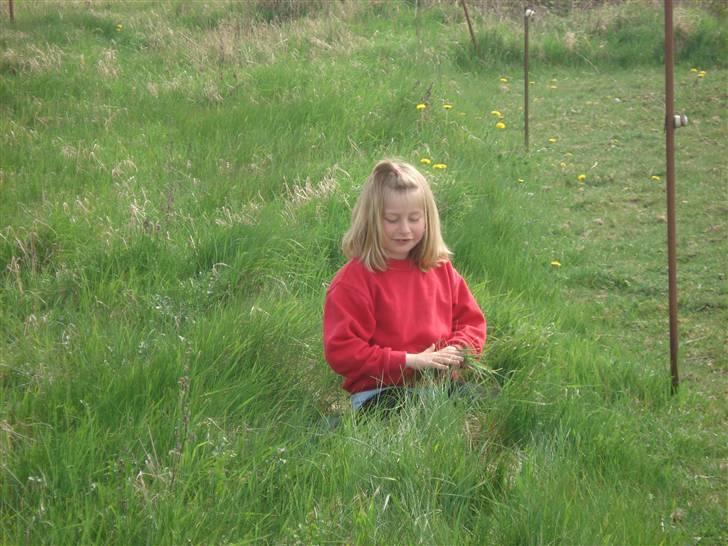 Mie med givea og snehvide - Man skal da lige plukke lidt græs til de små hypper billede 17