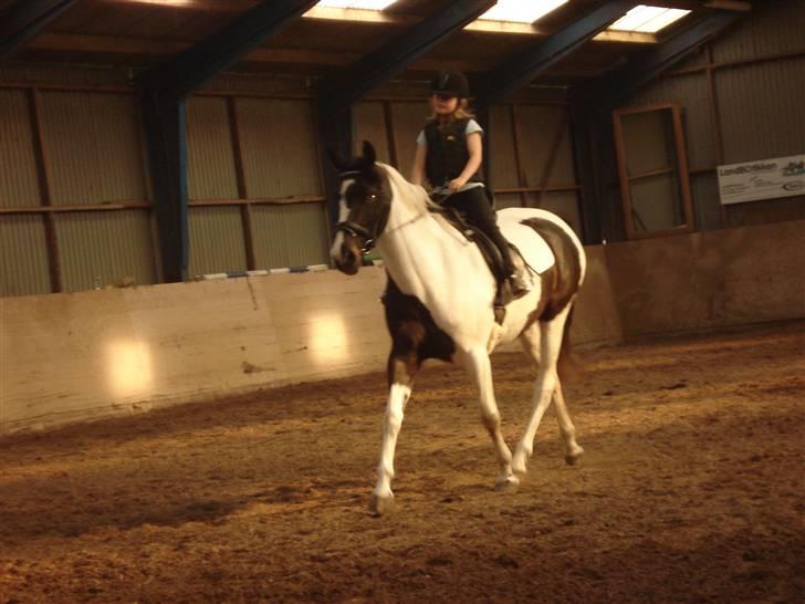 Mie med givea og snehvide - Og igen på givea nu begynder mie og øve i og få hende i holdning stille og roligt billede 18