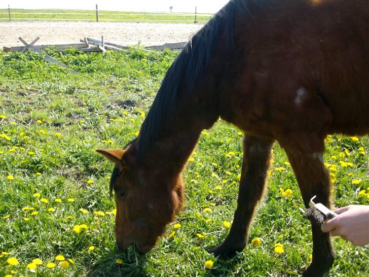 Sommer billeder - Skal lide nyde det dejlige vær billede 1