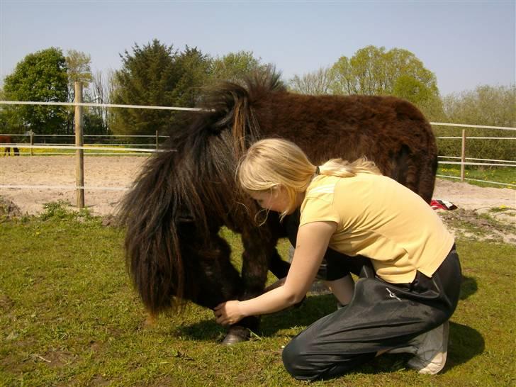 Sommer billeder - Ja vi hygger os billede 4