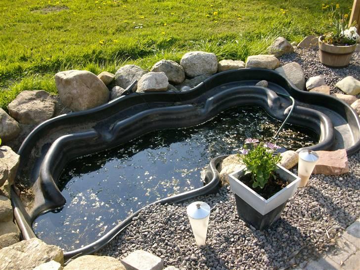 Sommer billeder - Flot ik ? billede 5