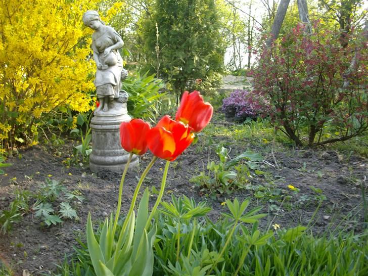 Sommer billeder - De flotteste af alle dem vi har billede 6