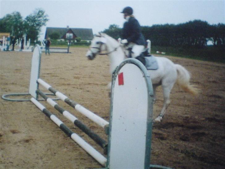 VHRK juni 06 - Mig og Andrea i beynderspring hest (vi vandt :p) billede 7