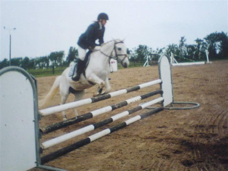 VHRK juni 06 - Mig og Andrea i LE spring hest billede 8