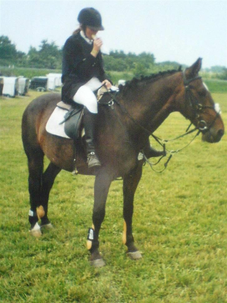 VHRK juni 06 - Anne Koch og Pepsi :) Hun faldt af på den sjovste måde til det her stævne :P billede 10