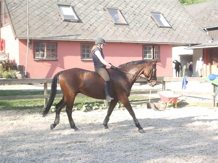Dressurridning uden sadel  billede 4