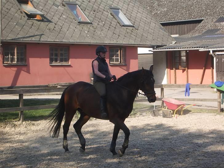 Dressurridning uden sadel  billede 7