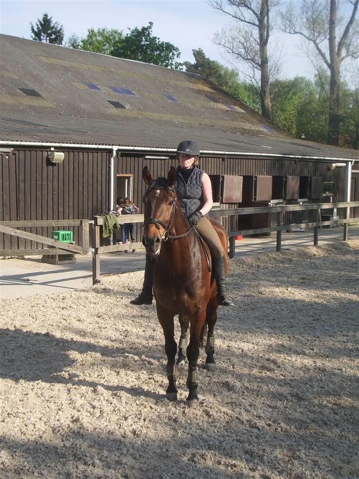 Dressurridning uden sadel  billede 9