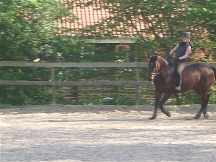Dressurridning uden sadel  billede 10
