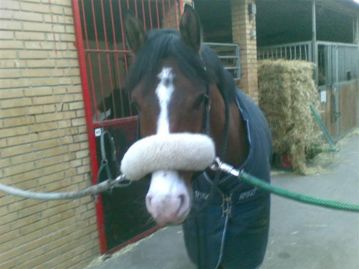 Hygge billeder! billede 2